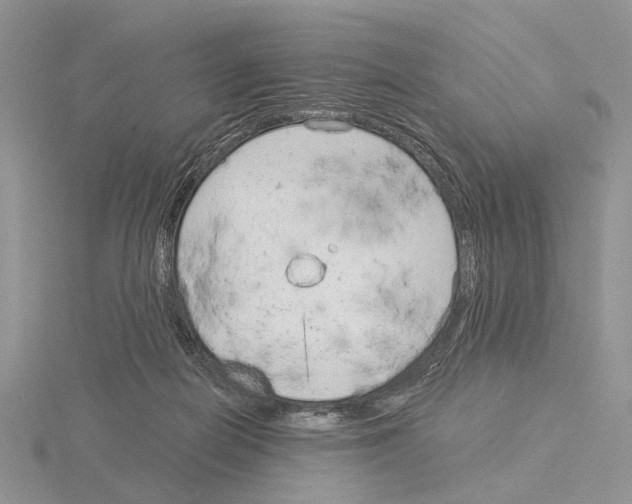 X0000115140266200912081332