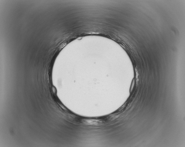 X0000115140268200912081332