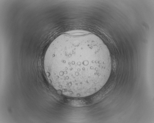 X0000115140270200912081332