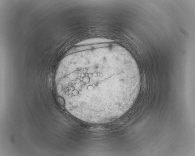 X0000115140271200912081332