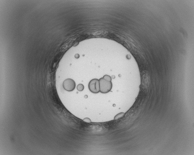 X0000115140272200912081332