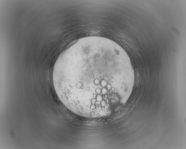 X0000115140274200912081332