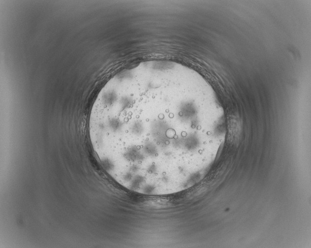 X0000115140278200912081332