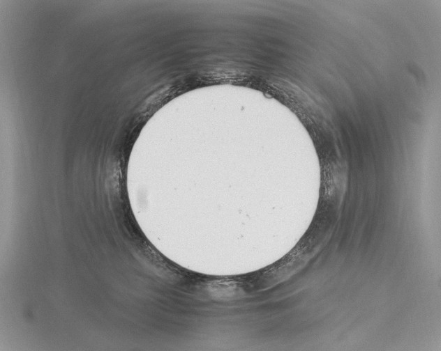 X0000115140279200912081332