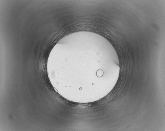 X0000115140280200912081332