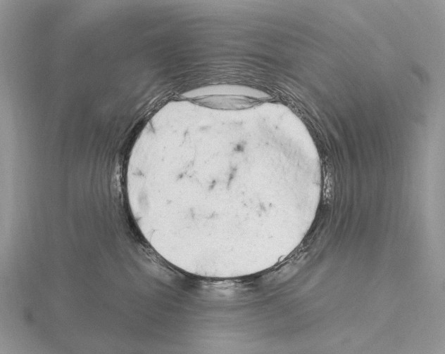 X0000115140282200912081332