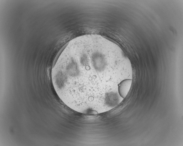 X0000115140286200912081332