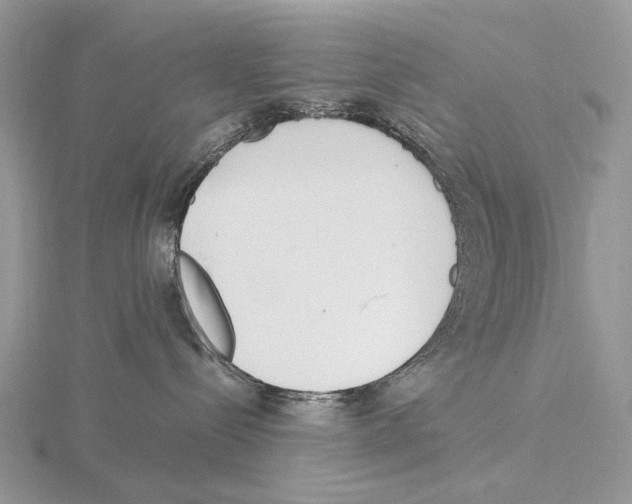 X0000115140288200912081332