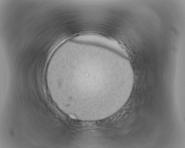 X0000115140289200912081331