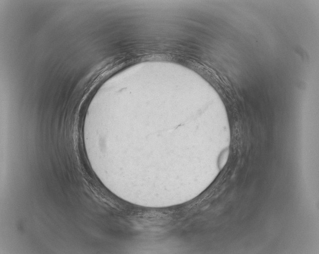 X0000115140290200912081331