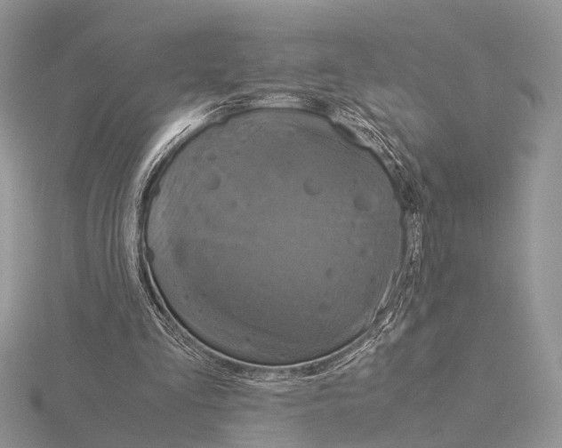 X0000115140293200912081331