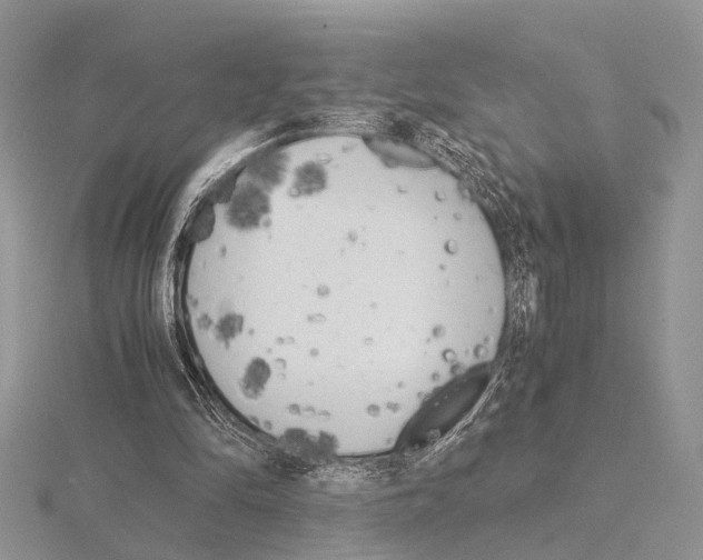 X0000115140294200912081331