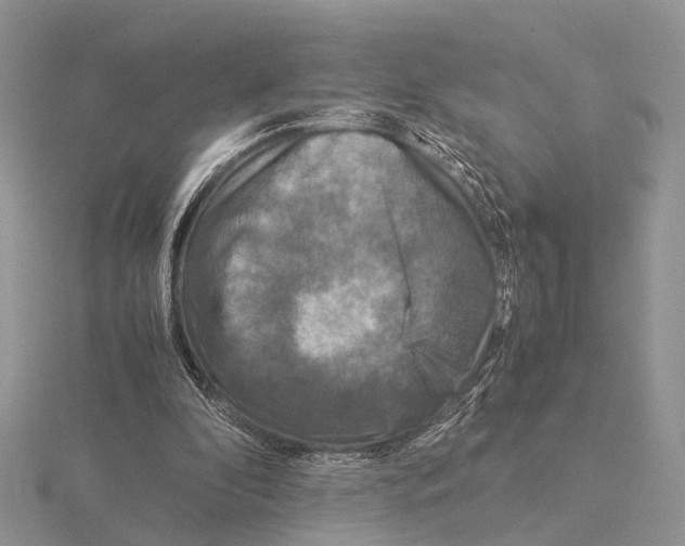 X0000115140296200912081331