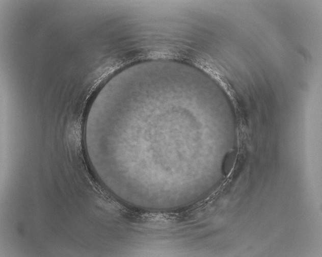 X0000115140297200912081331