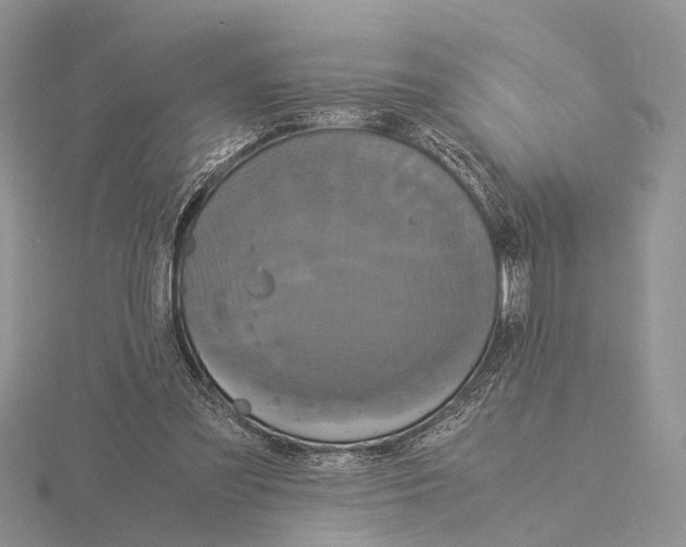 X0000115140301200912081331