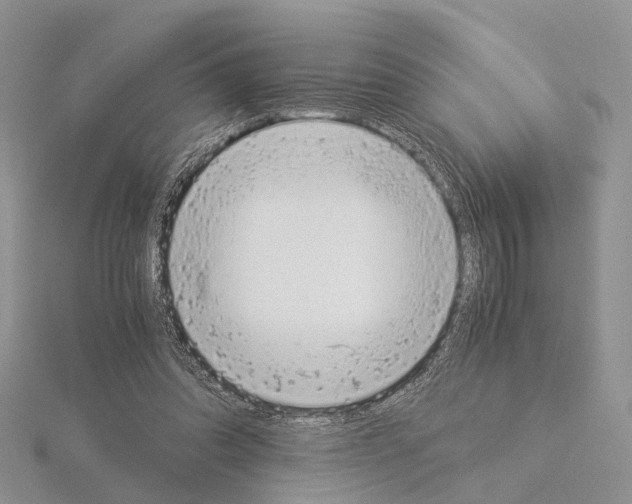 X0000115140302200912081331