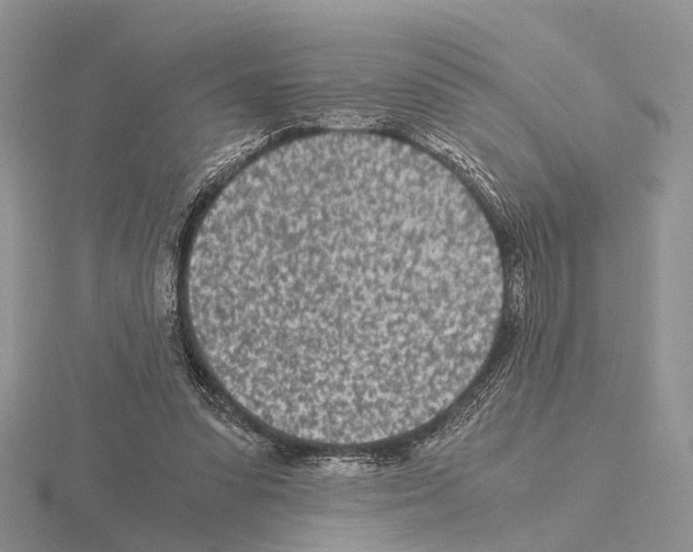 X0000115140303200912081331