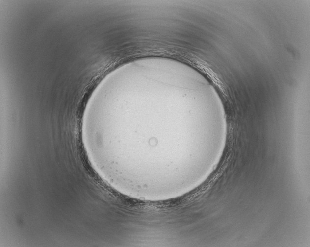 X0000115140305200912081331