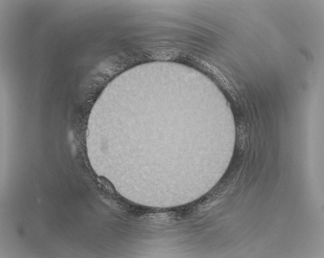 X0000115140307200912081331