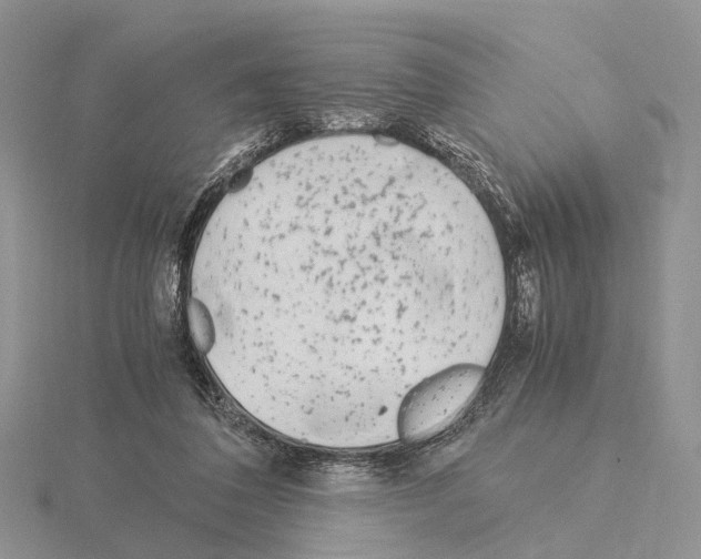 X0000115140308200912081331