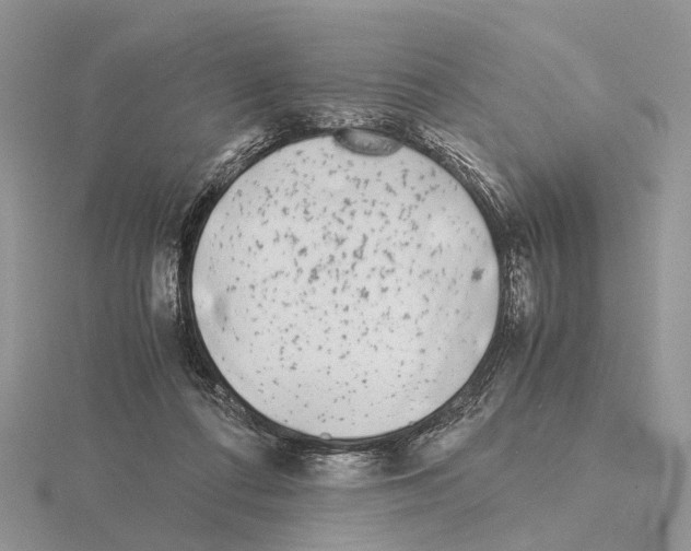 X0000115140312200912081331