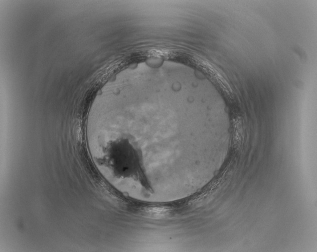 X0000115140313200912081331