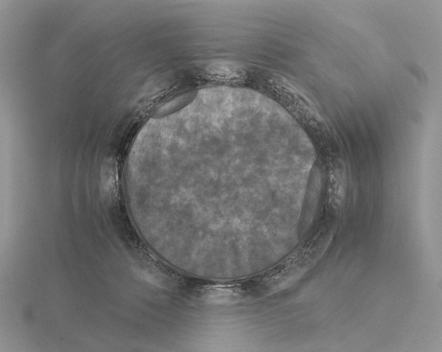 X0000115140320200912081331