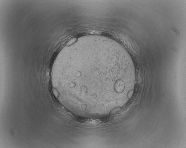 X0000115140321200912081331