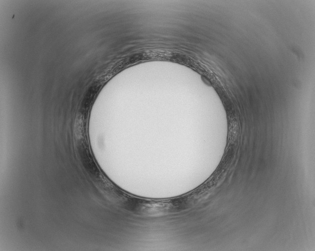 X0000115140323200912081331