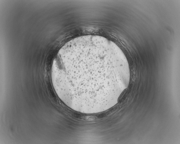 X0000115140324200912081331