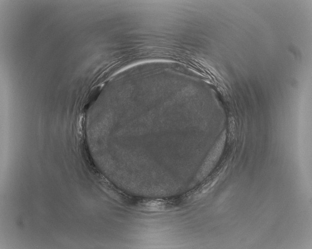 X0000115140325200912081331