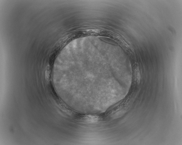 X0000115140328200912081331