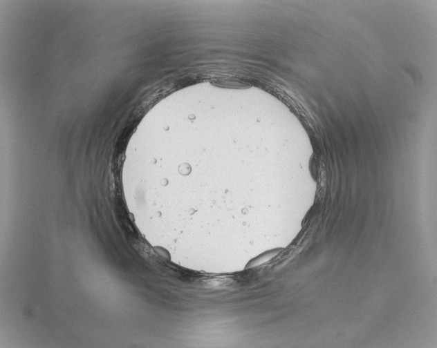 X0000115140333200912081331