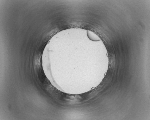 X0000115140334200912081331