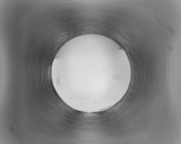 X0000115140336200912081331