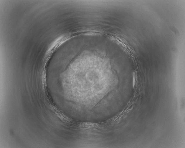 X0000115140339200912081330