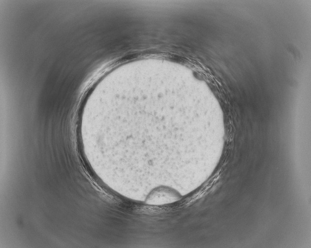 X0000115140341200912081330