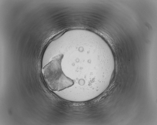 X0000115140345200912081330