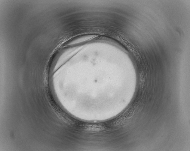 X0000115140347200912081330