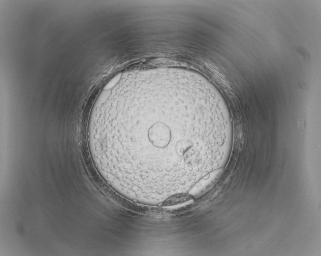 X0000115140354200912081330