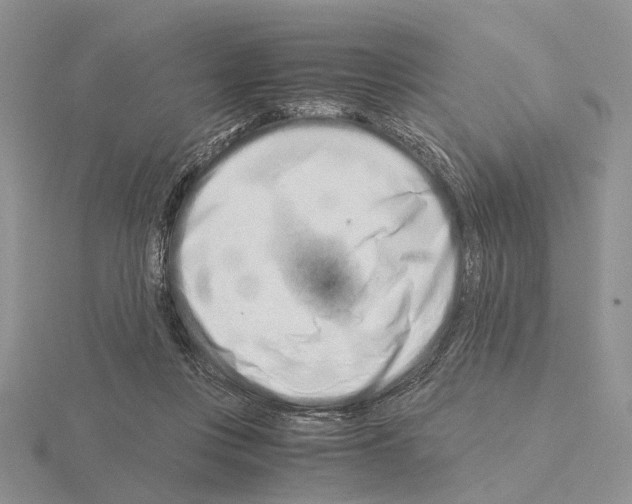 X0000115140359200912081330