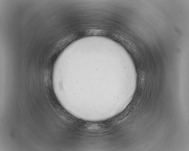 X0000115140361200912081330