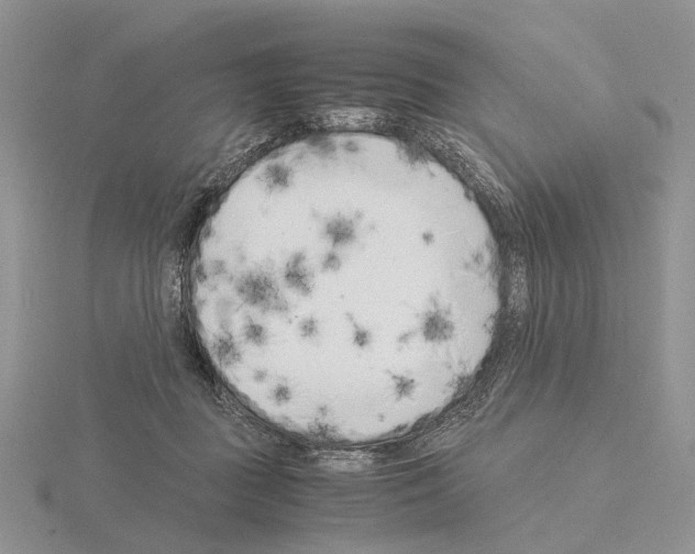 X0000115140363200912081330