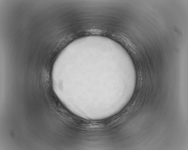 X0000115140365200912081330