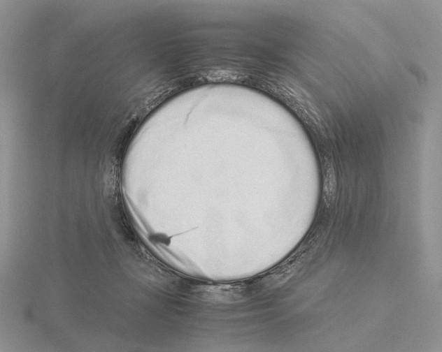 X0000115140367200912081330