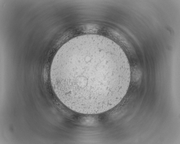 X0000115140370200912081331