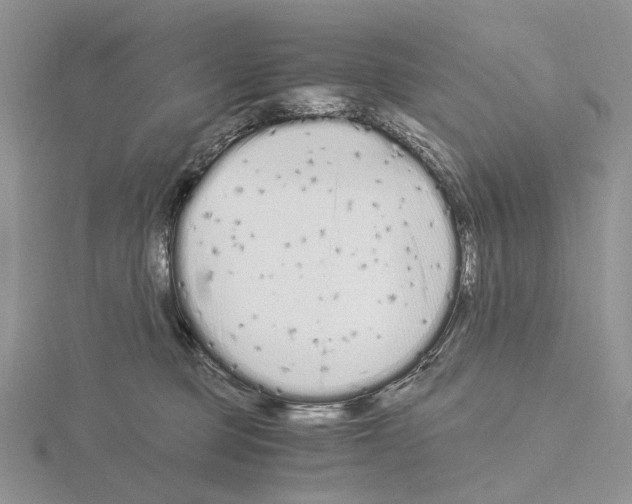 X0000115140373200912081331