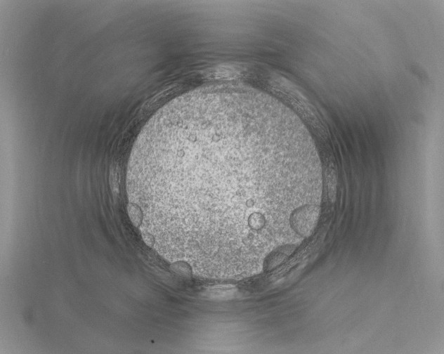 X0000115140374200912081331