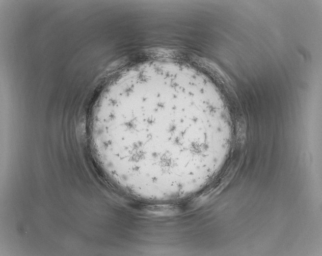 X0000115140377200912081331