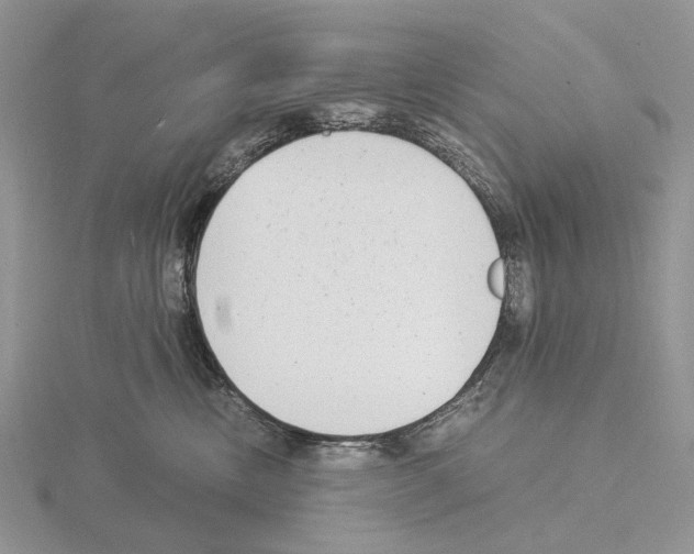 X0000115140378200912081331